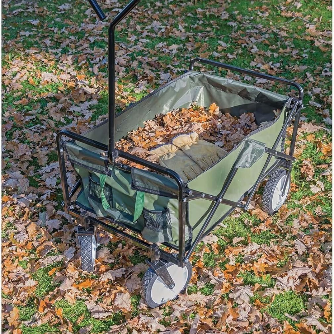 Carro de mano plegable 120 Kg de carga