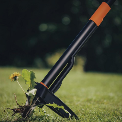 Elimina Malas Hierbas