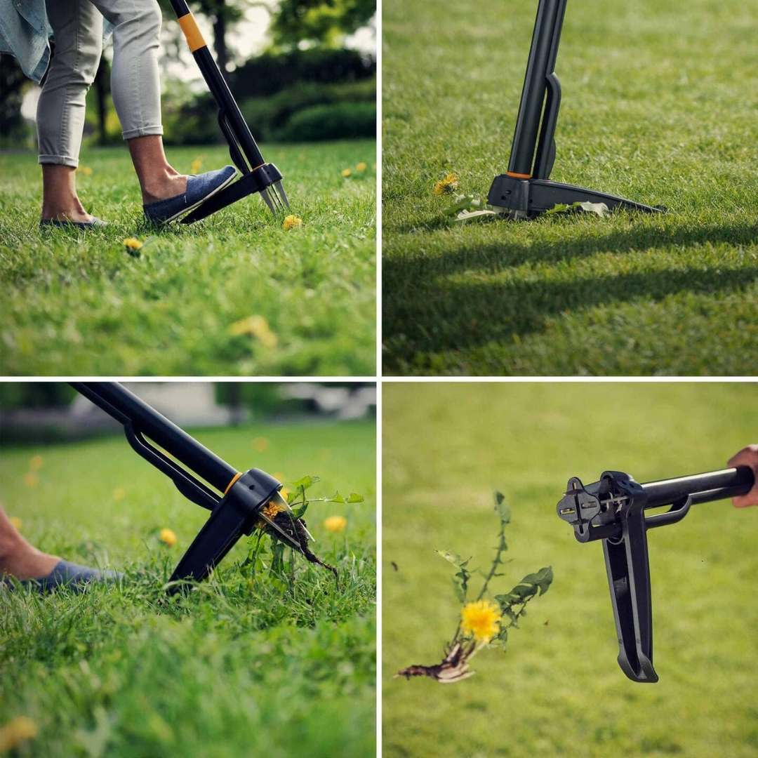 Elimina Malas Hierbas