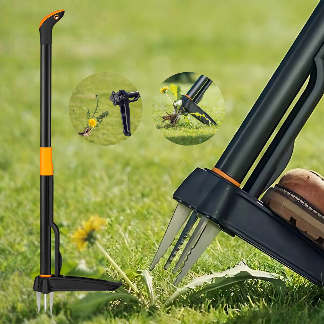 Elimina Malas Hierbas