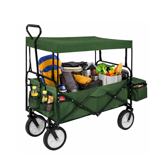 Carro de mano plegable 120 Kg de carga